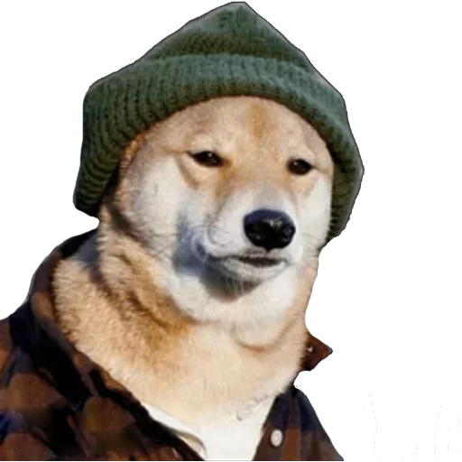 Стикер Favorite Sticker by @fStikBot - 4