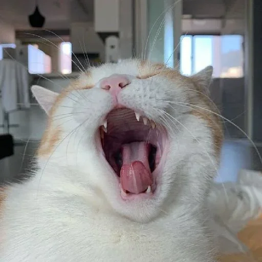 Собрано в @StickerEdit_bot - 