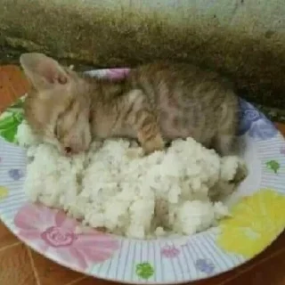 Стикер Собрано в @StickerEdit_bot - 10