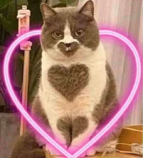 Стикер Собрано в @StickerEdit_bot - 7