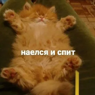 Стикер Собрано в @StickerEdit_bot - 5