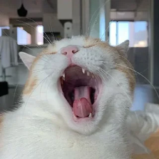 Стикер Собрано в @StickerEdit_bot - 1