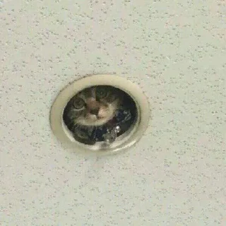 Стикер Собрано в @StickerEdit_bot - 3