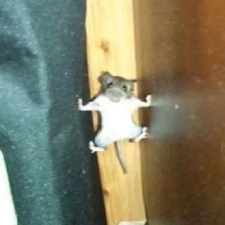 Стикер Собрано в @StickerEdit_bot - 2