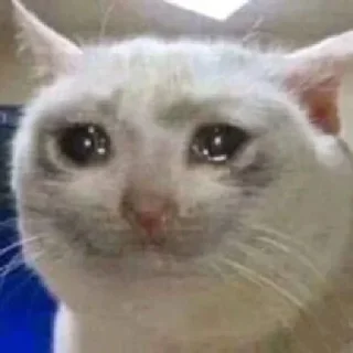 Стикер Собрано в @StickerEdit_bot - 9