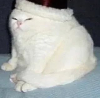 Стикер Собрано в @StickerEdit_bot - 8