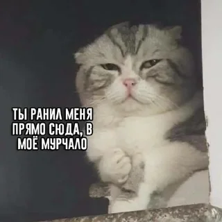 Sticker @StickerEdit_bot :: @StickerEdit - 3