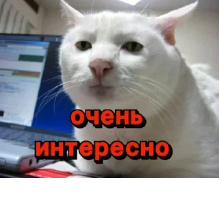 Sticker @StickerEdit_bot :: @StickerEdit - 10