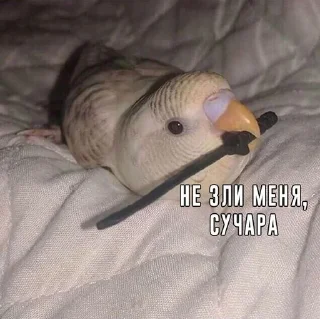 Sticker @StickerEdit_bot :: @StickerEdit - 4