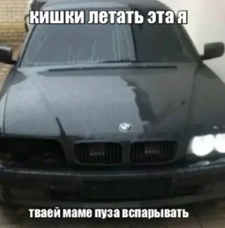 Sticker бебропракуратура иу @sozdat_stikery_bot - 7