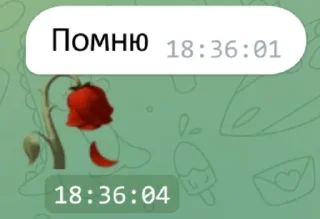 Стикер ксюшчщьк @sozdat_stikery_bot - 10