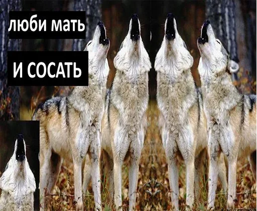 Стикер s507749159_by_fStikBot - 1