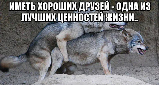 Стикер Favorite Sticker by @fStikBot - 7