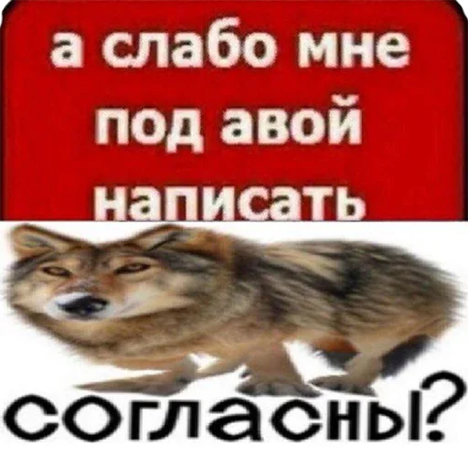 Стикер Favorite Sticker by @fStikBot - 2