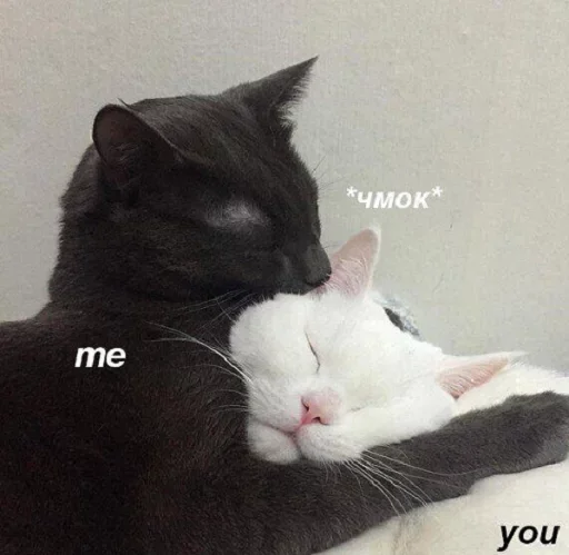 Sticker Favorite Sticker by @fStikBot - 8