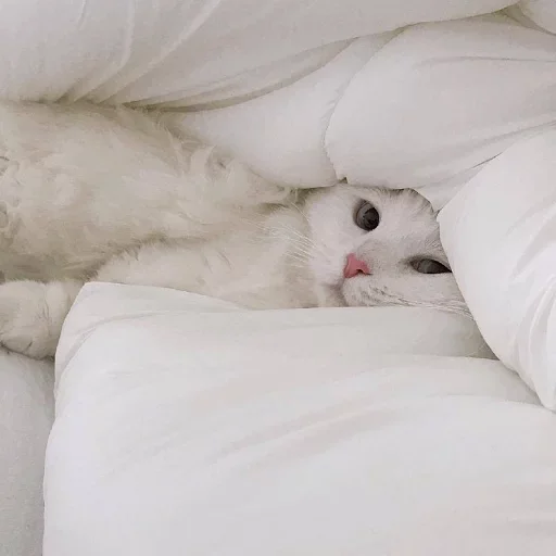 Sticker Favorite Sticker by @fStikBot - 7