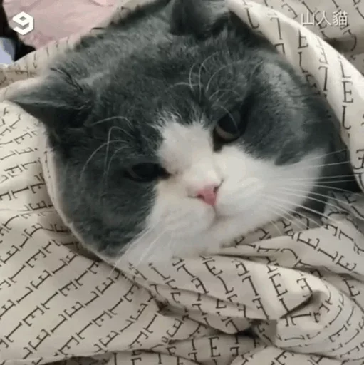 Sticker Favorite Sticker by @fStikBot - 6