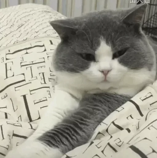 Sticker Favorite Sticker by @fStikBot - 0