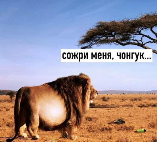 Создано в @StickerEdit_bot - 