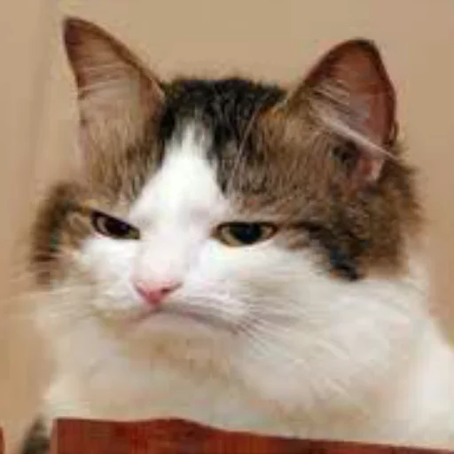 Sticker Favorite Sticker by @fStikBot - 3