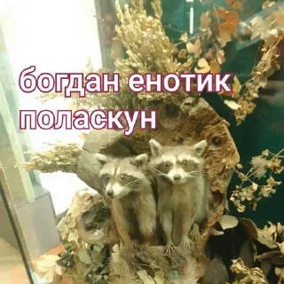 Sticker @StickerEdit_bot :: @StickerEdit - 11