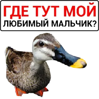 Sticker Самые Лучшие Стикеры - 1