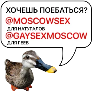 Sticker Самые Лучшие Стикеры - 5