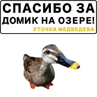 Sticker Самые Лучшие Стикеры - 11