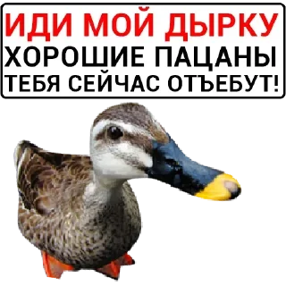 Sticker Самые Лучшие Стикеры - 10