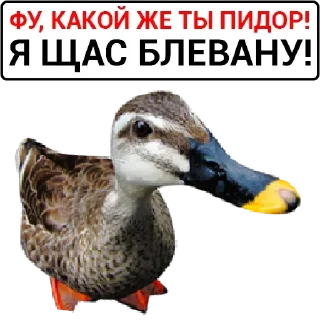 Sticker Самые Лучшие Стикеры - 2