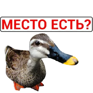 Sticker Самые Лучшие Стикеры - 8