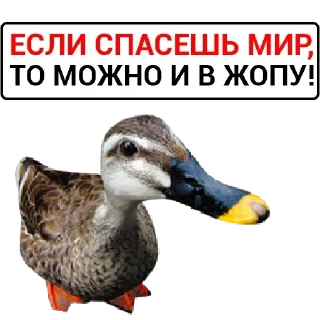 Sticker Самые Лучшие Стикеры - 0