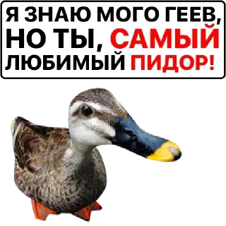 Sticker Самые Лучшие Стикеры - 7