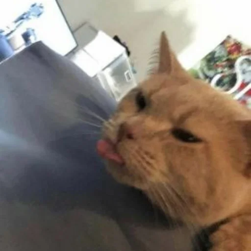 Sticker s5835051891639_by_StickerEdit_bot - 1