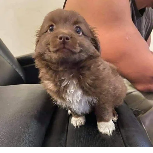 Sticker s5835051891639_by_StickerEdit_bot - 1