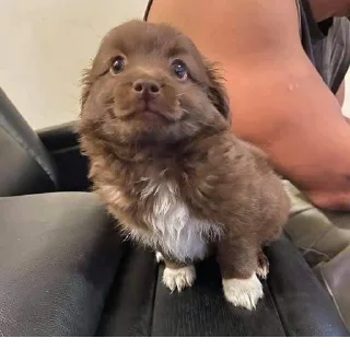 Sticker @StickerEdit_bot :: @StickerEdit - 6