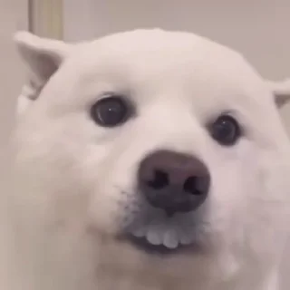 Sticker @StickerEdit_bot :: @StickerEdit - 10