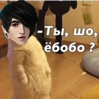 Sticker @StickerEdit_bot :: @StickerEdit - 8