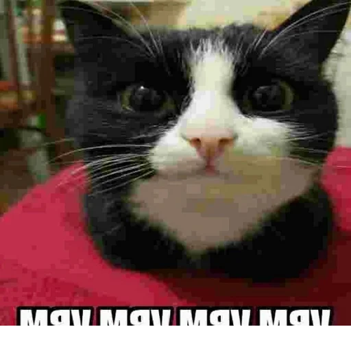 @StickerEdit_bot :: @StickerEdit - 