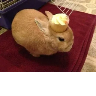 Стикер @StickerEdit_bot :: @StickerEdit - 2