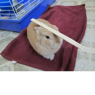 Стикер @StickerEdit_bot :: @StickerEdit - 1