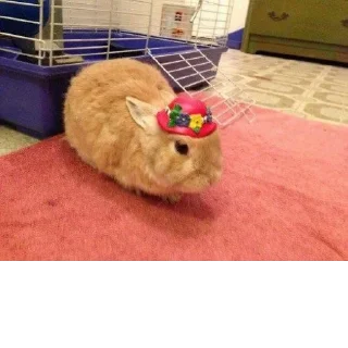 Стикер @StickerEdit_bot :: @StickerEdit - 5