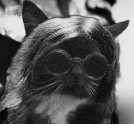 Sticker s6565311924859_by_StickerEdit_bot - 1