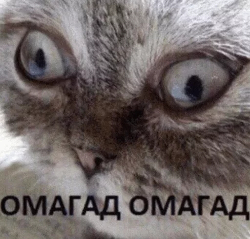 Стикер Favorite Sticker by @fStikBot - 9