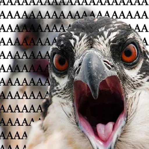 Стикер Favorite Sticker by @fStikBot - 0