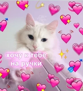 Sticker Самые Лучшие Стикеры - 7