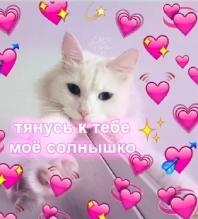 Sticker Самые Лучшие Стикеры - 2