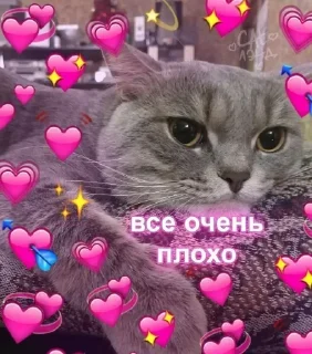 Sticker Самые Лучшие Стикеры - 4