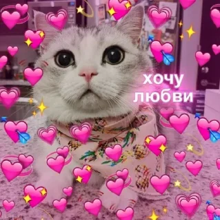 Sticker Самые Лучшие Стикеры - 11