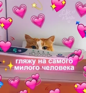 Sticker Самые Лучшие Стикеры - 6